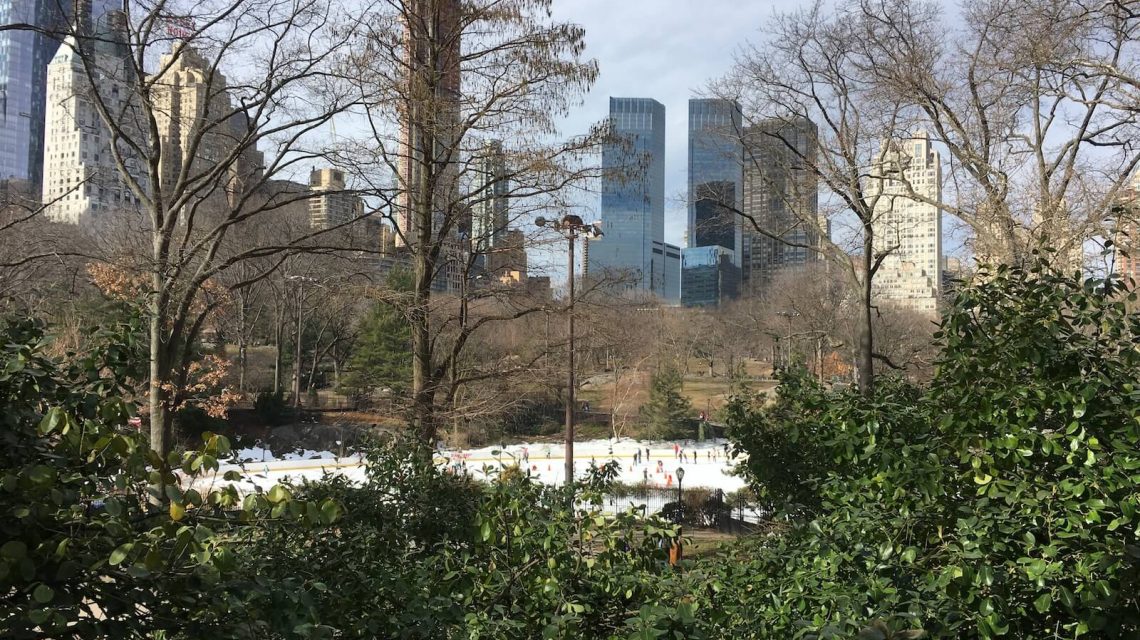 New York Central Park 2017