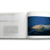 orthern Factor book image