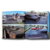 Site-a1 SITE: Architecture as Art sample page