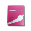 Elephant & Butterfly: Permanence and Chance in Architecture book cover
