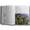 Suomenlinna-auk1-min Suomenlinna Sveaborg by J. J. Gardberg