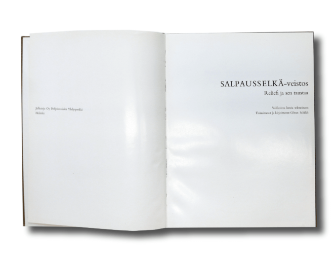 Salpausselkä-veistos: Reliefi ja sen taustaa