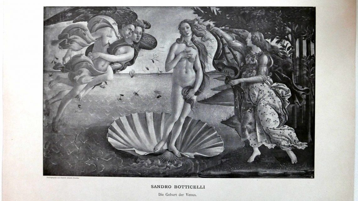Das Museum Botticelli Venus