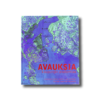 Avauksia-kansi Avauksia – Kaupungin anatomiaa