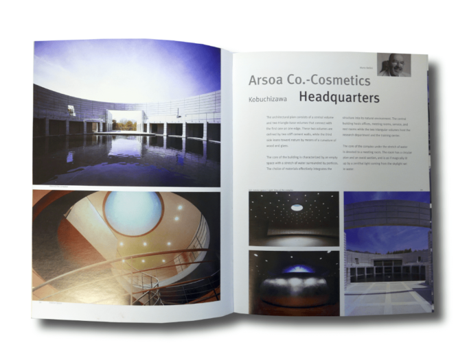 Offices by Chris van Uffelen (Braun, 2007)