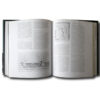 Anderson-Aalto-and-America-aukeama2