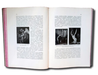 Image of the book: Kuvaamataiteet uudemmalla ajalla by J. J. Tikkanen published by Otava in 1910