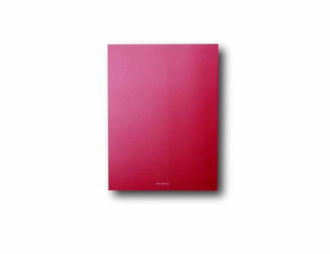 Step05-taka Image of the book Step 05: Urban Development Plan Vienna 2005