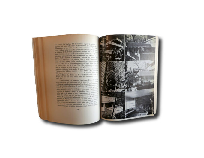 Zevi-Saper-Vedere-auk2