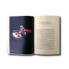Herzog-de-Meuron-Natural-History-auk3