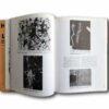 High-and-Low-Modern-Art-and-Popular-Culture-auk