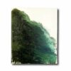 Image showing the book Cy Twombly