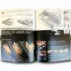 Folio-07-auk
