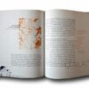 Photo showing a sample spread of the book Managing Urban Change