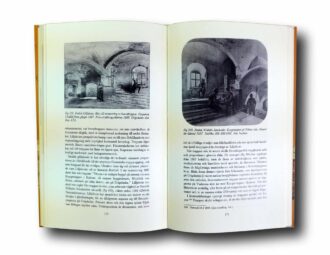 Photo showing a sample spread of the book Aendnu gamblare