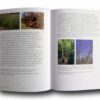 Projective-Ecologies-auk2