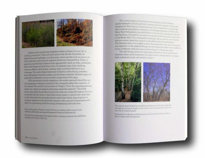 Projective-Ecologies-auk2