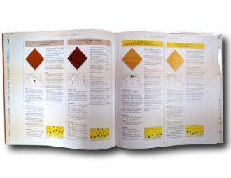 Photo showing a sample spread of the book The Encyclopedia of Wood