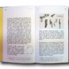 Banal-Buildings-auk Photo showing a sample spread of the book Banal Buildings – Anthology