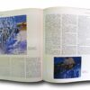 Photo showing a sample spread of the book Alvar Aalto: The Complete Catalogue of Architecture