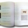 Photo showing a sample spread of the book Rogelio Salmona espacios abiertos / espacios colectivos
