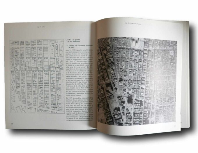 Photo showing a sample spread of the book New York face à son patrimoine
