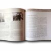 Photo showing a sample spread of the book Paijala – Talo Stadin sydämessä
