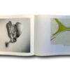 Alvar-Aalto-Synopsis-auk